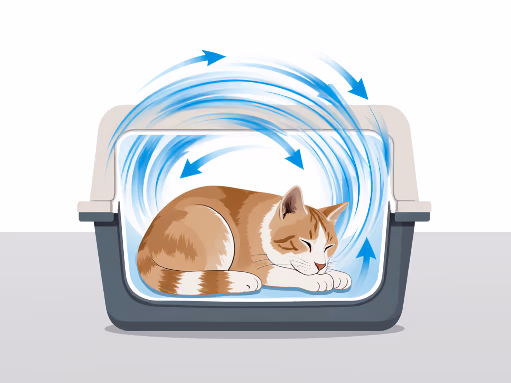 ventilation_diagram_showing_airflow_around_curled_pet