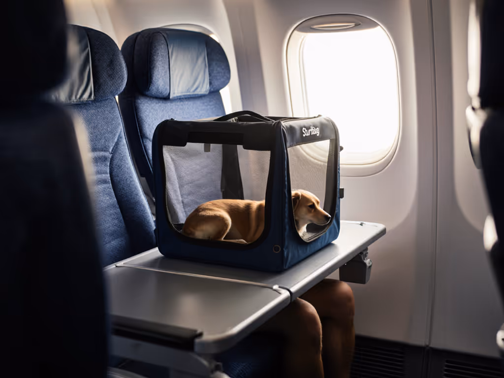 SturdiBag Original Review: Anxiety-Proof Travel for Pets