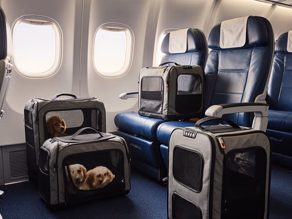 Multi-Pet Carrier Comparison: Airline-Compliant Solutions